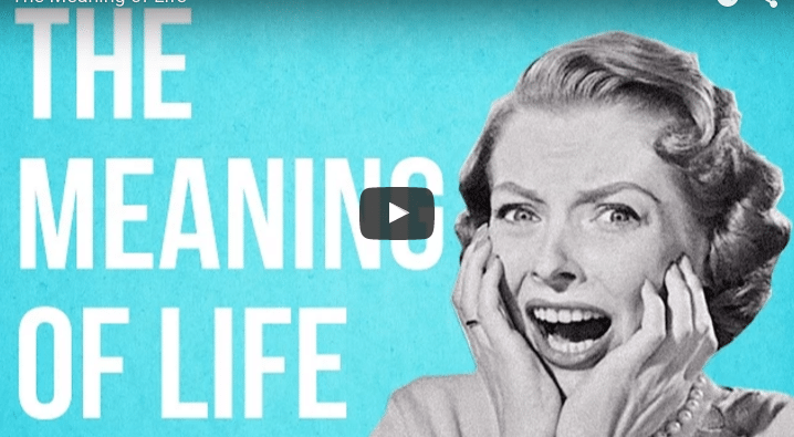 video: what is the meaning of life