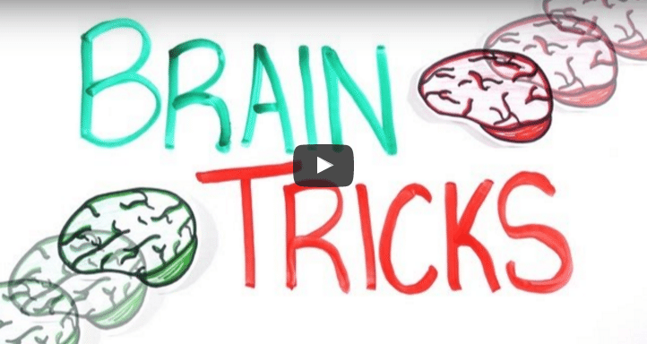 VIDEO: How Your Brain Works