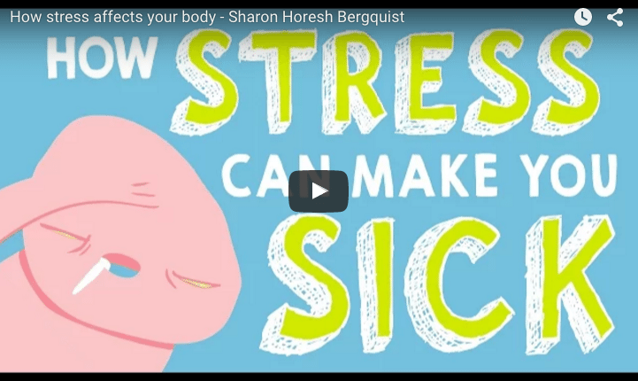 VIDEO: How Stress Can Make You Sick