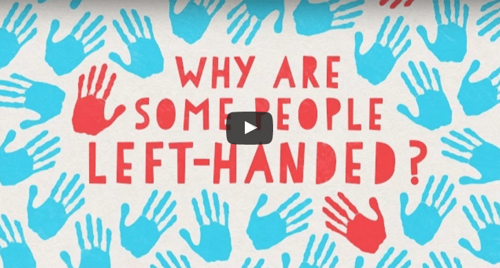 VIDEO: Why Are Some Of Us LEFT HANDED?