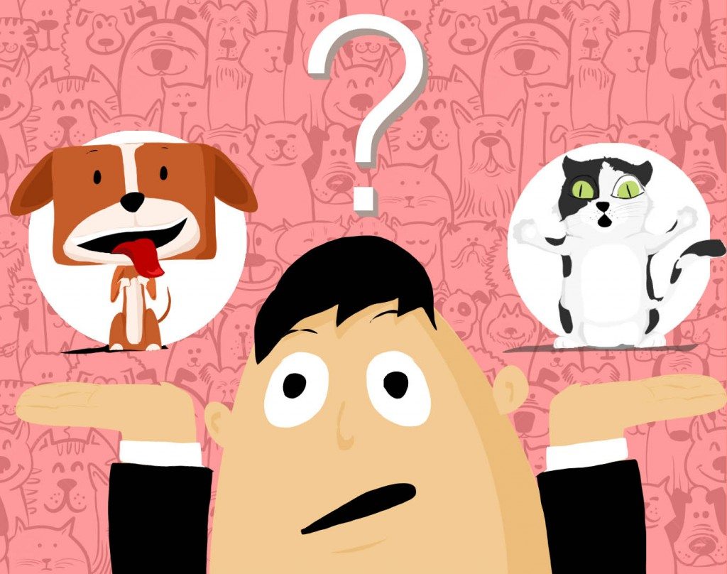 Cat Or Dog: Which Is Your Ideal Pet