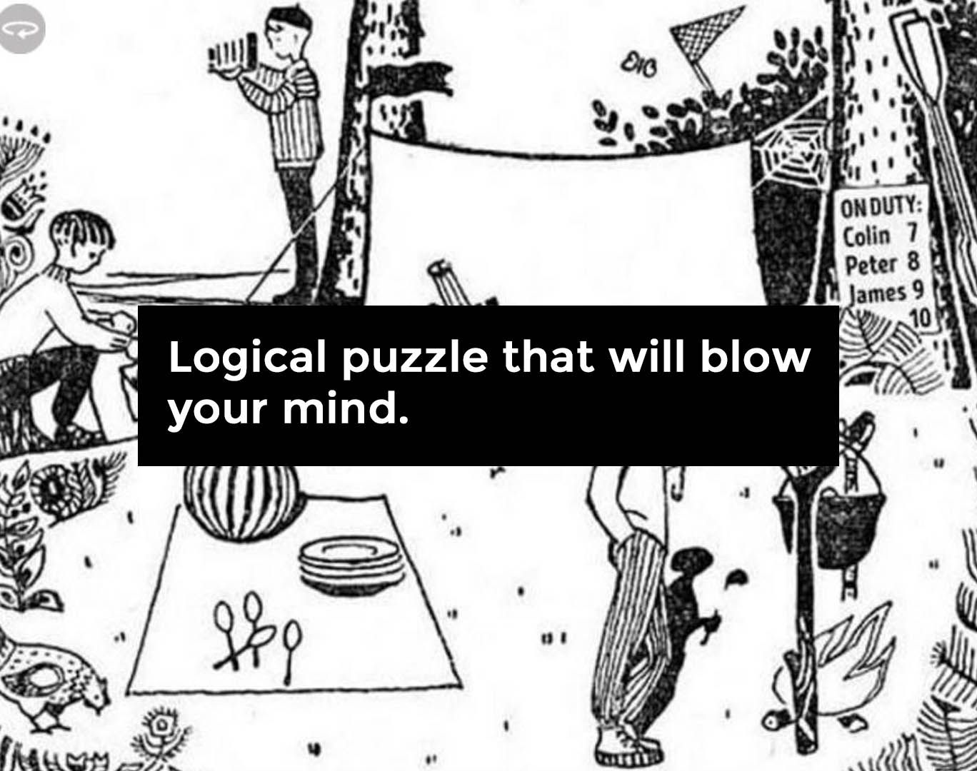 Logical Puzzle