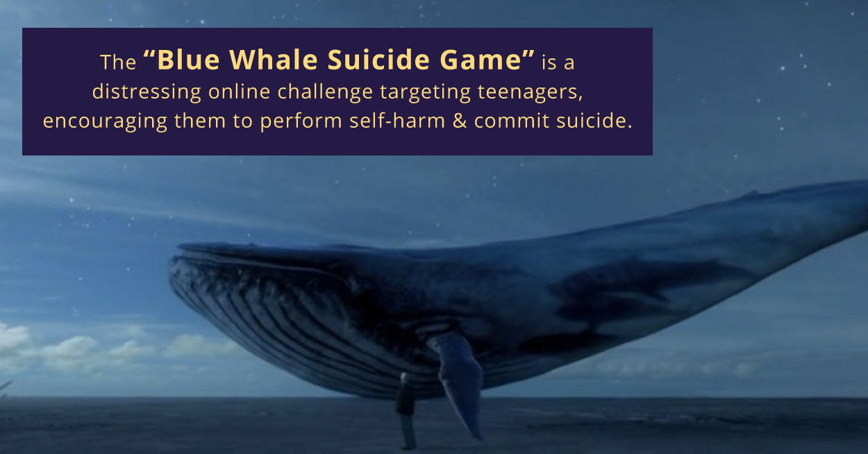 The Blue Whale Suicide Game